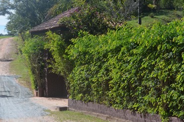 Sítio do Jacarandá